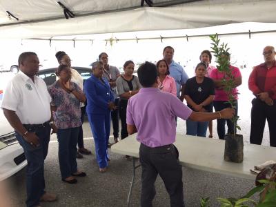 Representatives of the County Caroni 4H Voluntary Leaders Council, listen attentively to Agricultural Assistant III, Mr. Kanaiya Baboolal of the Ministry of Agriculture, Land and Fisheries (MALF), during a practical training session on budding and grafting, at the Ministry’s corporate headquarters in Chaguanas on Friday 16th March, 2018.